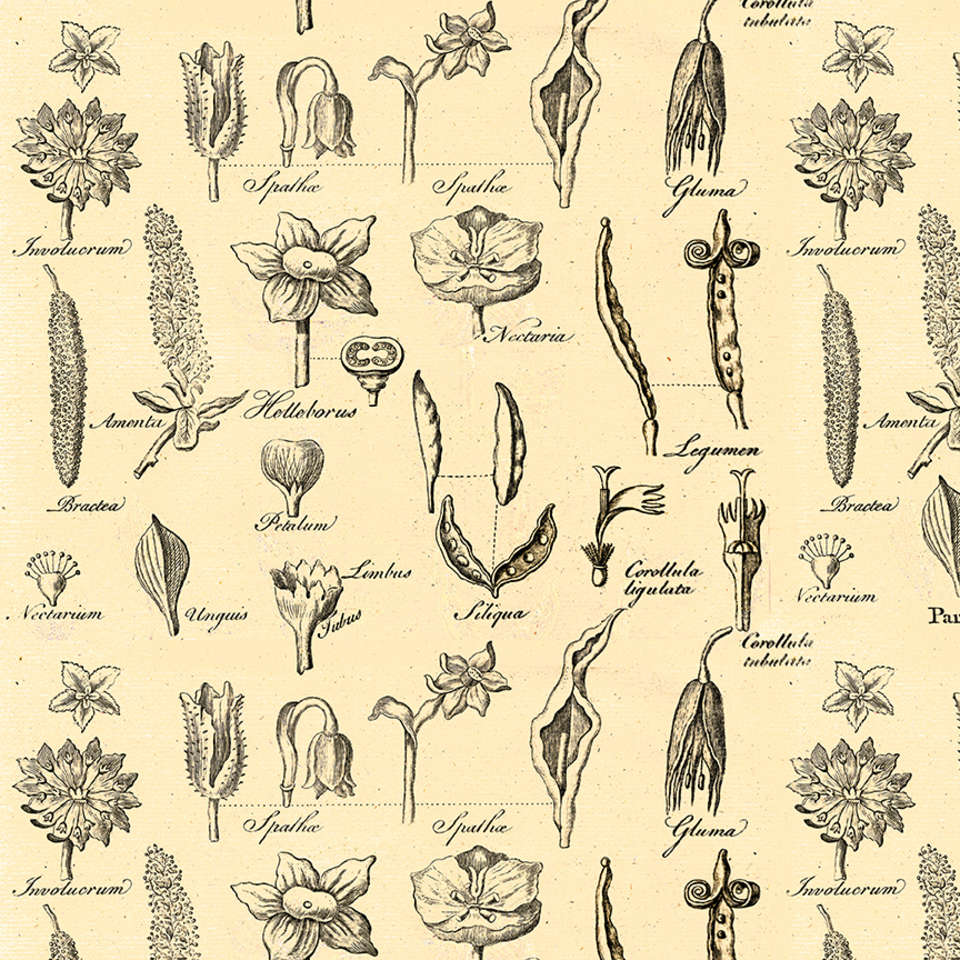 Riley Blake Designs - Art Journal - C13042-BEEHIVE