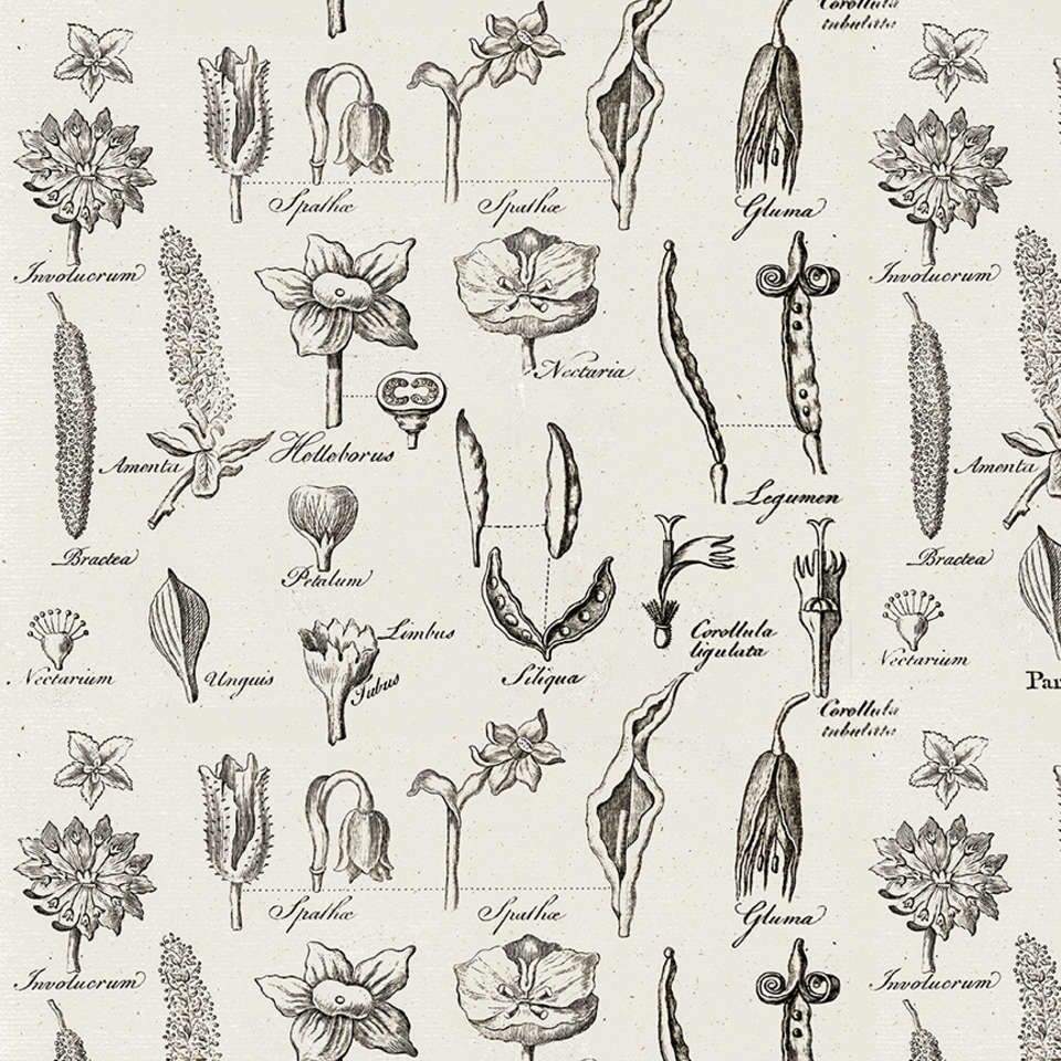 Riley Blake Designs - Art Journal - C13042-LTGRAY