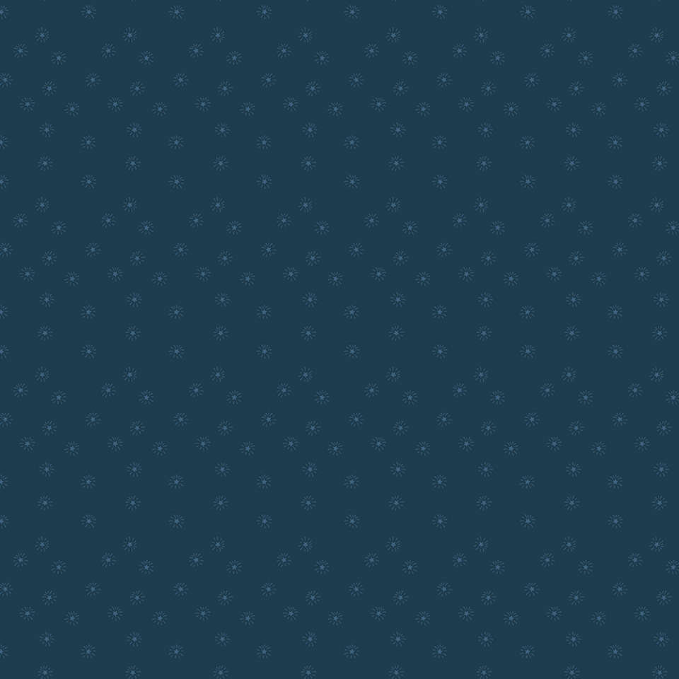 Riley Blake Designs - Quilt Labels - C13187-NAVY