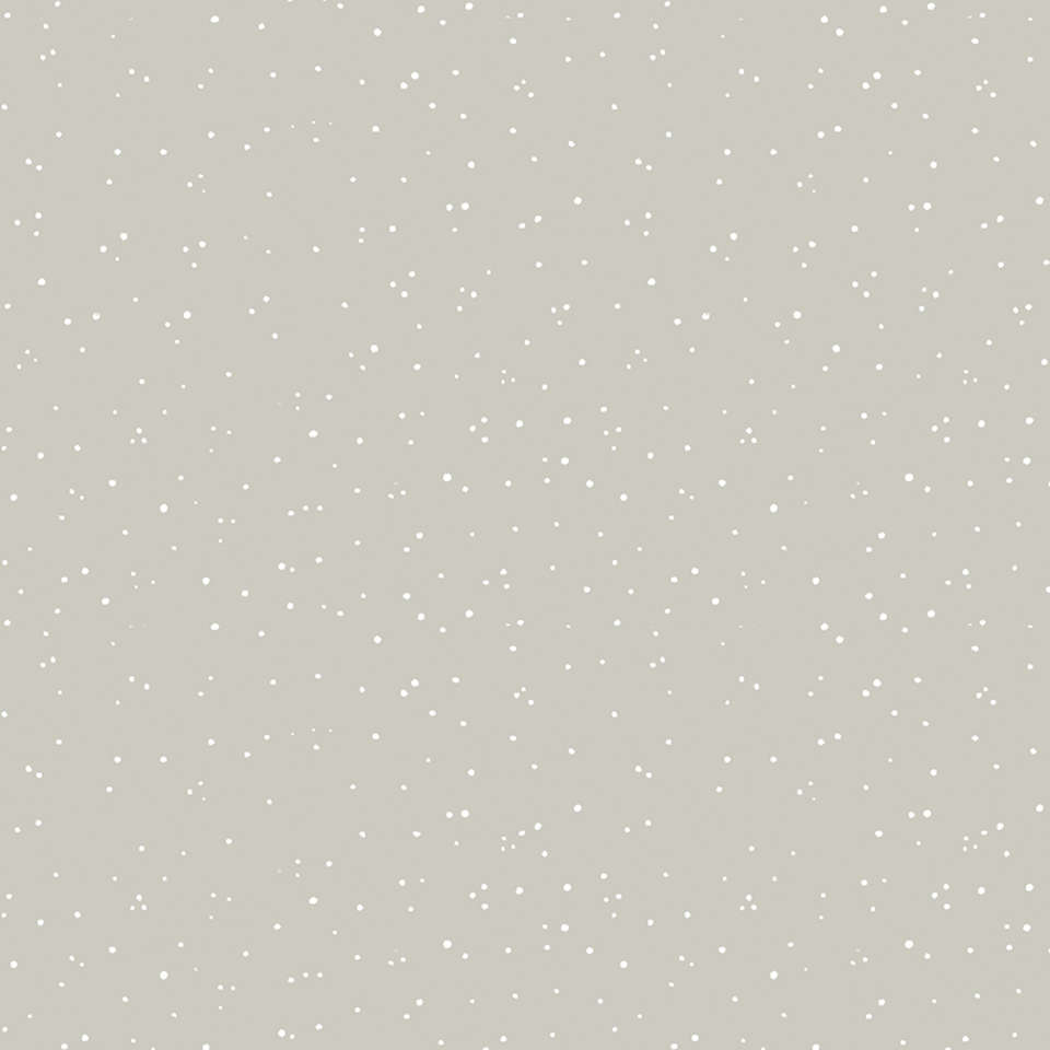 Riley Blake Designs - White as Snow - C13558-GRAY