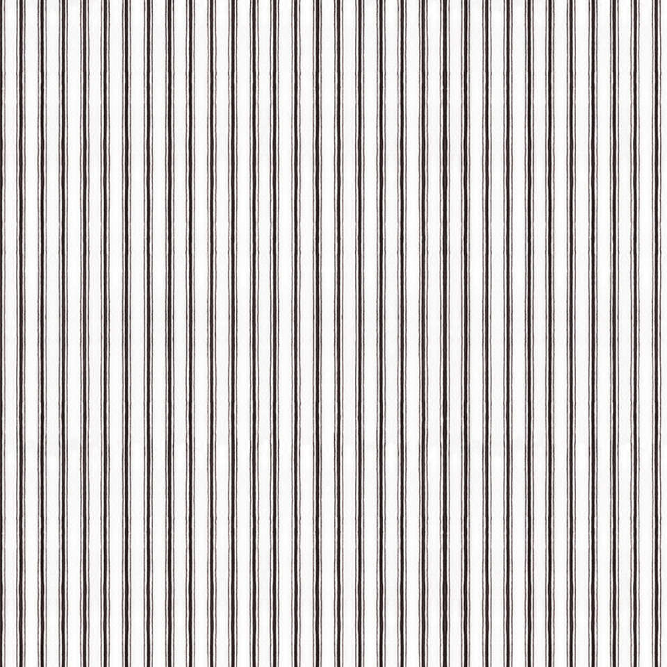 Riley Blake Designs - White as Snow - C13561-BLACK