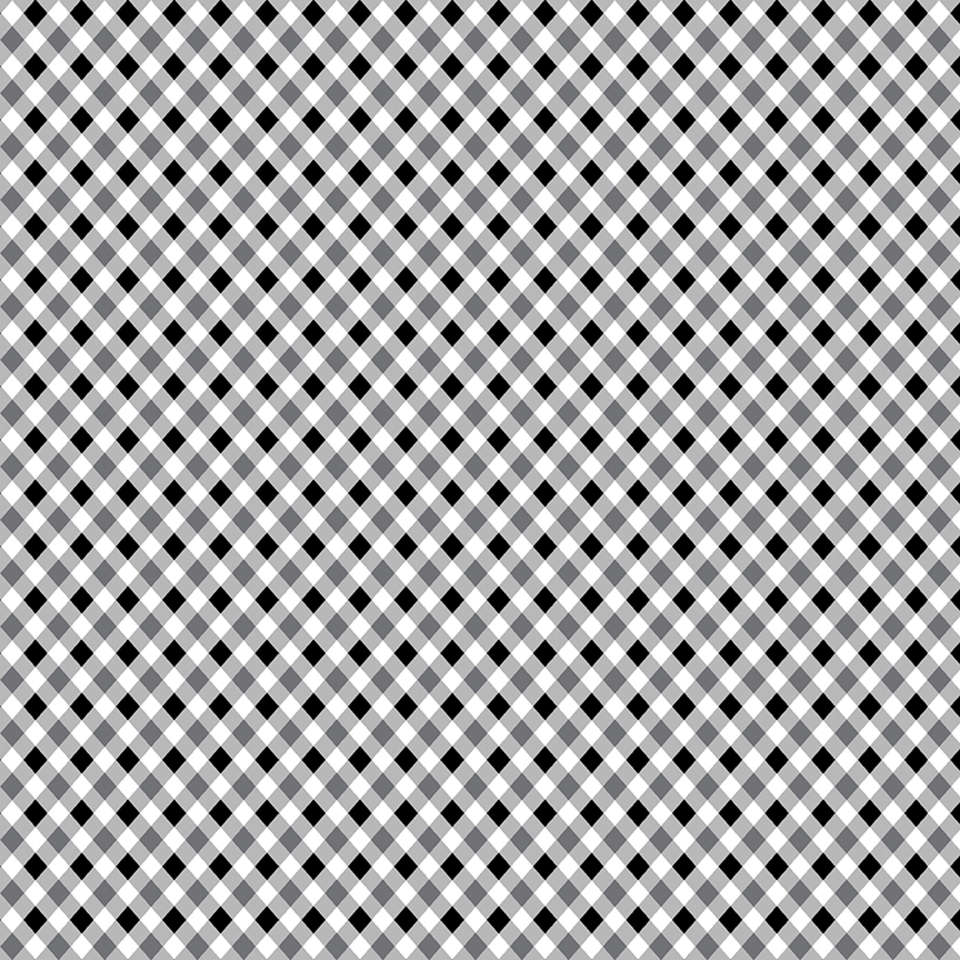 Riley Blake Designs - Fright Delight - C13235-BLACK