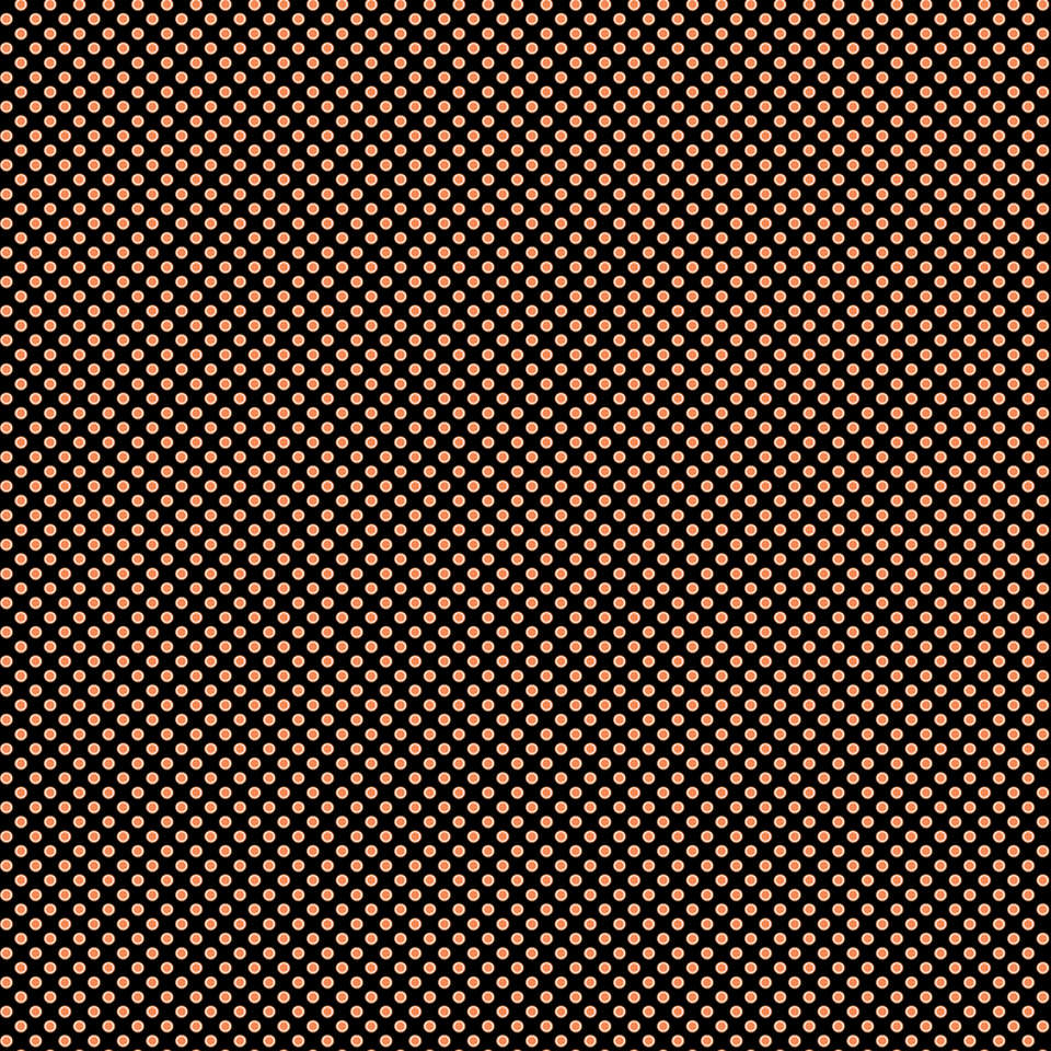 Riley Blake Designs - Fright Delight - C13234-BLACK