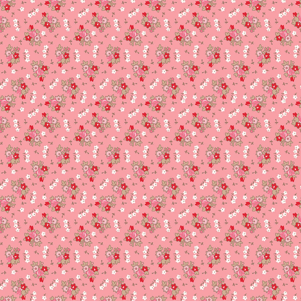 Riley Blake Designs - Home Town - C13582-HEIRCORAL