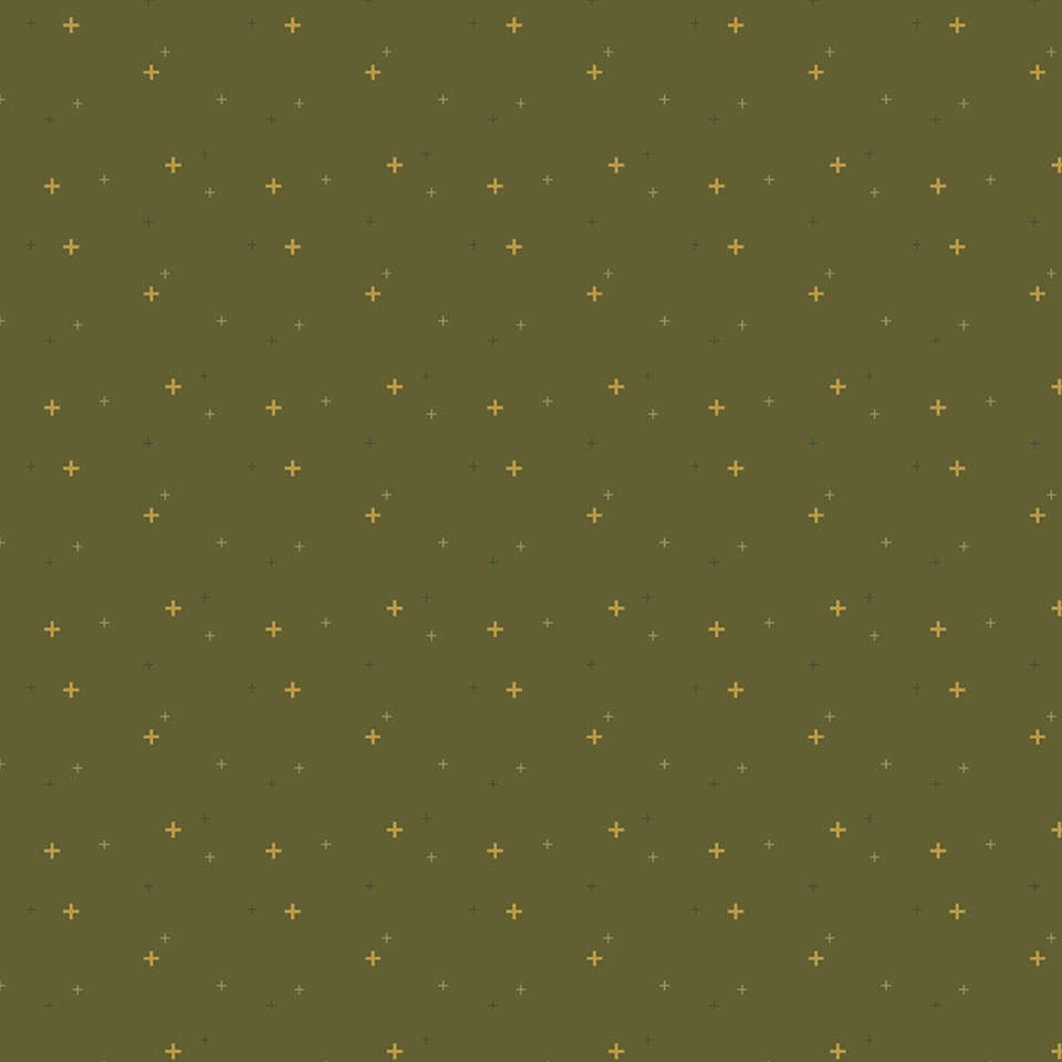 Riley Blake Designs - Sparkler 2022 R4 - SC650-AVOCADO