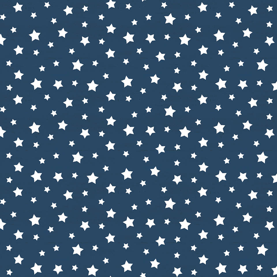 Riley Blake Designs - Monthly Placemats - C12413-NAVY