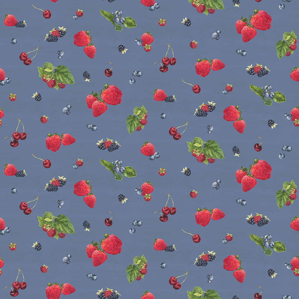 Riley Blake Designs - Monthly Placemats - C12411-DENIM