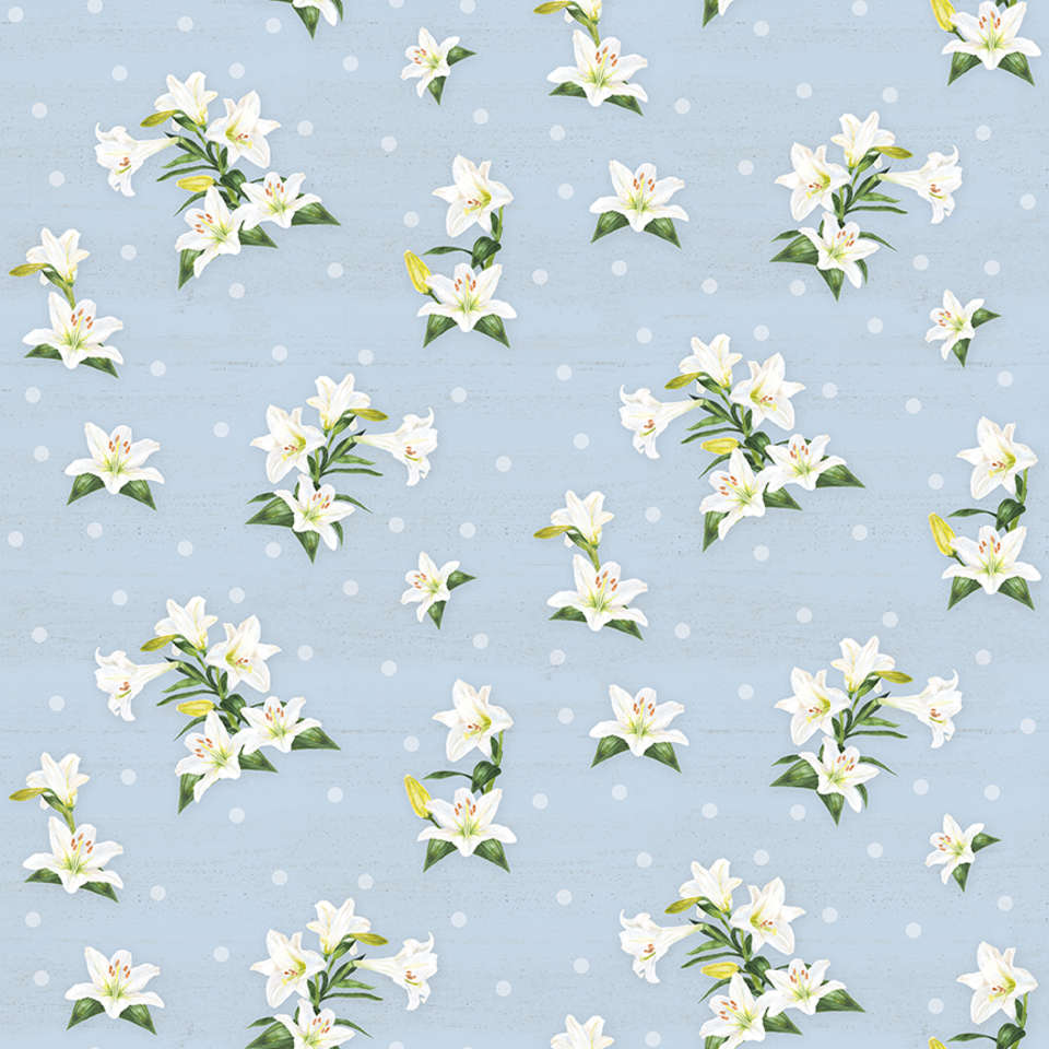 Riley Blake Designs - Monthly Placemats - C12407-SKY