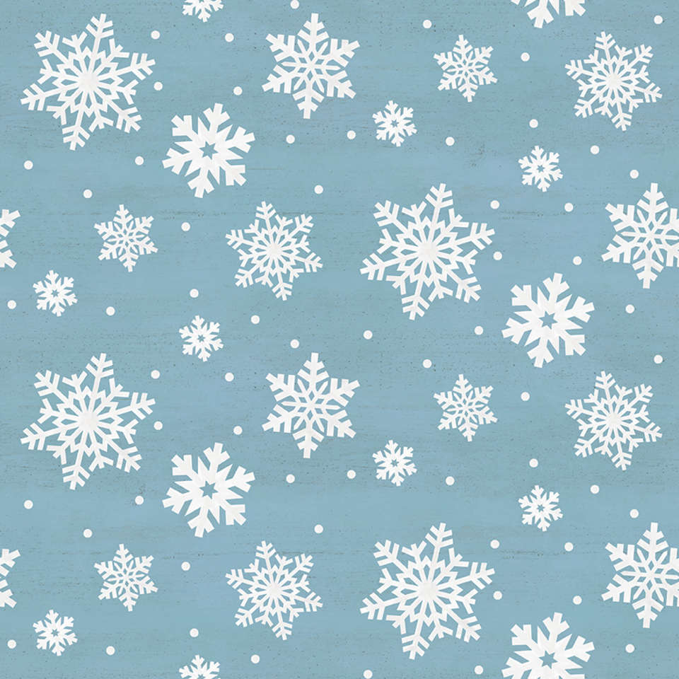 Riley Blake Designs - Monthly Placemats - C12401-AQUA