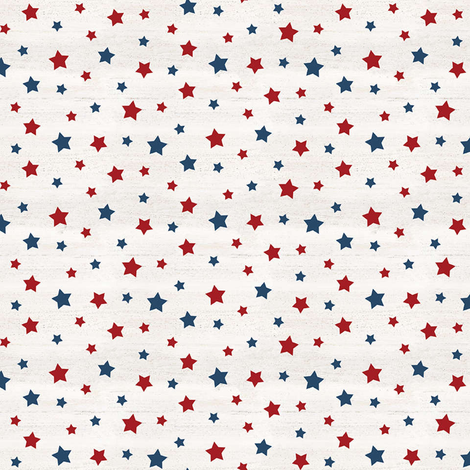 Riley Blake Designs - Monthly Placemats - C12413-MULTI