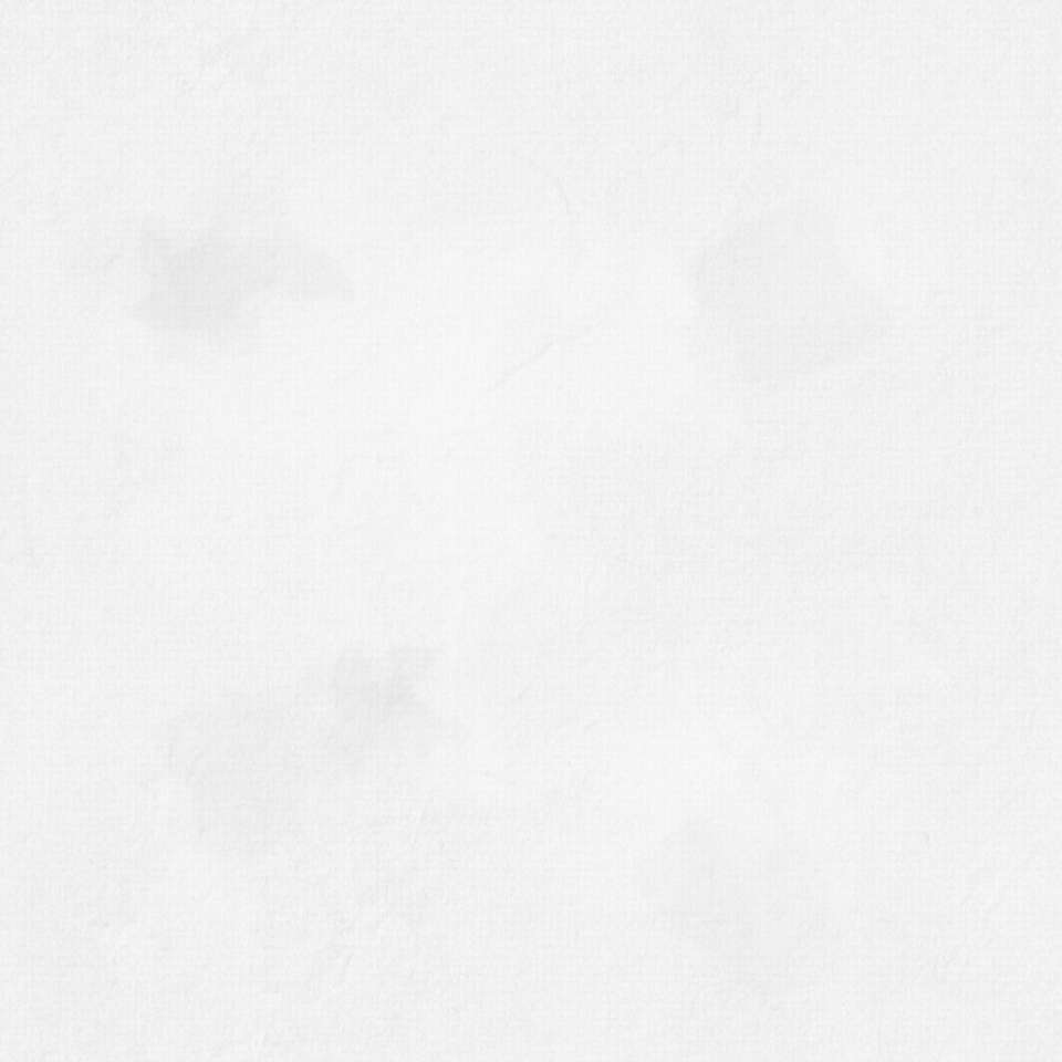 Timeless Treasures - ColorStock ~ Silhouettes - SOHO COCONUT