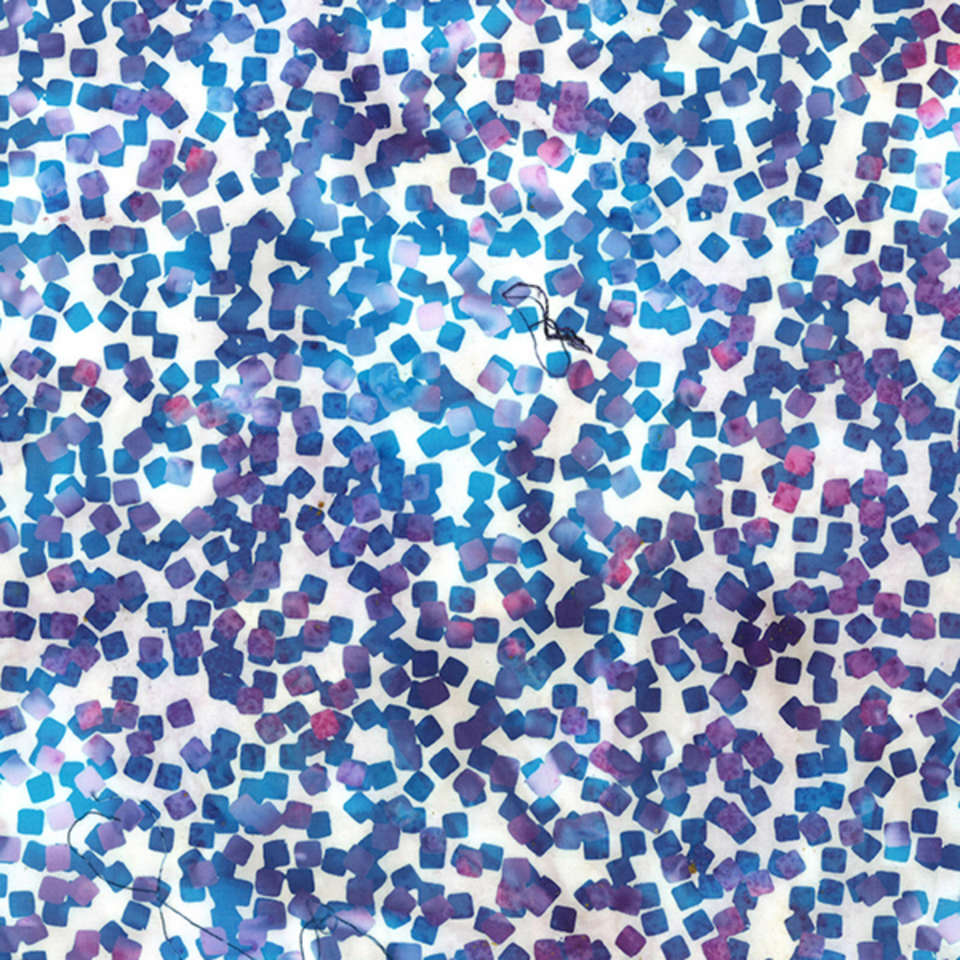 Hoffman California Fabrics - Violet and Pink Skies - V2541-120-Hyacinth