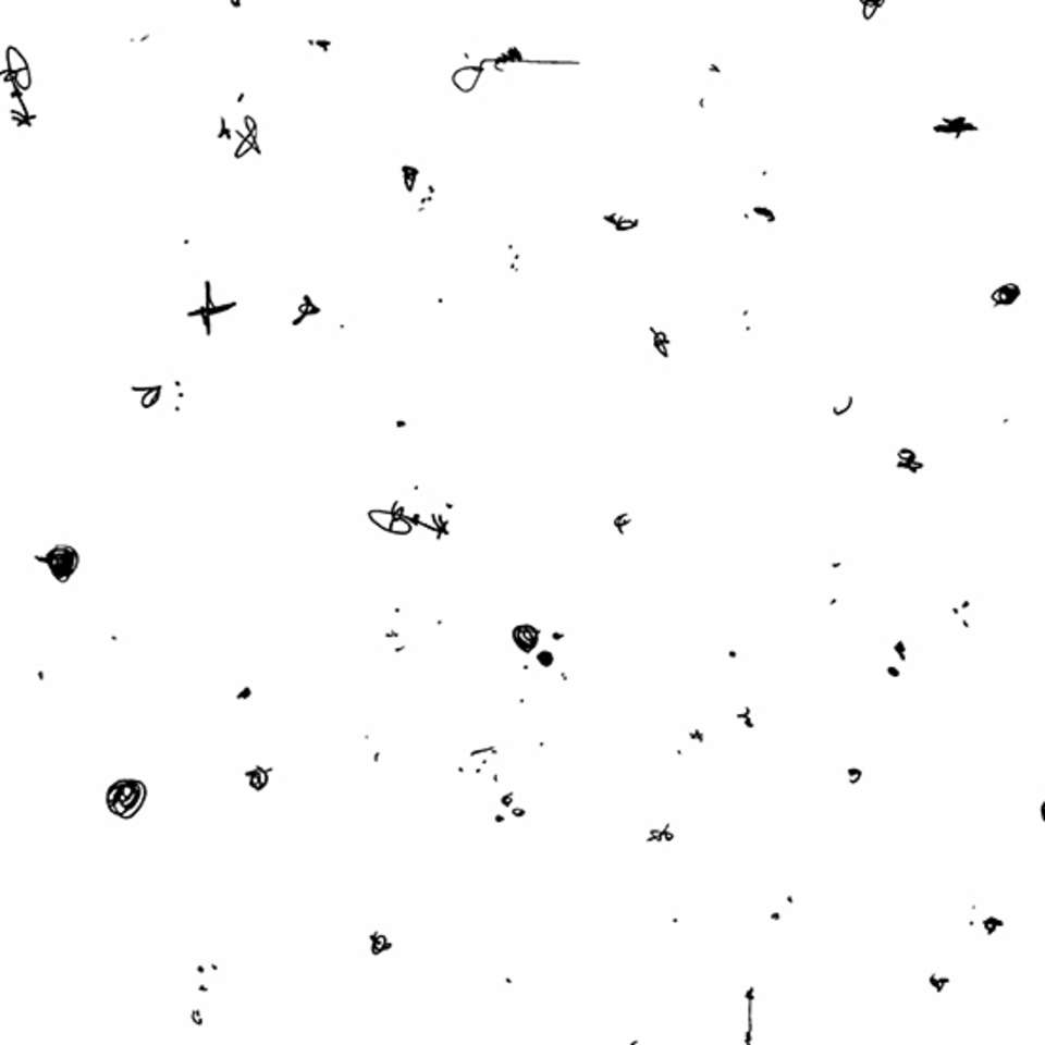 Andover Fabrics - Motley - A-880-L