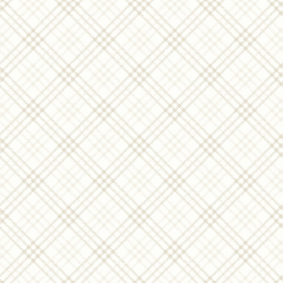 Riley Blake Designs - Hush Hush 3 - C14076-PLAID