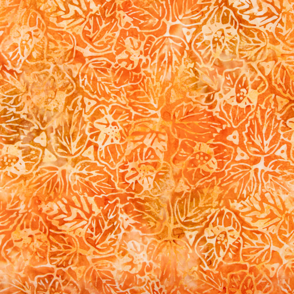 Riley Blake Designs - Warm Rain - BT23033-233-Apricot