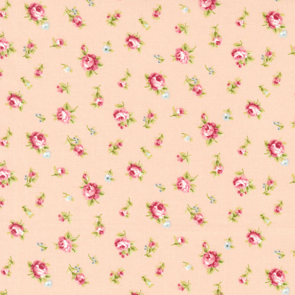 Moda - Ellie - 18761 16