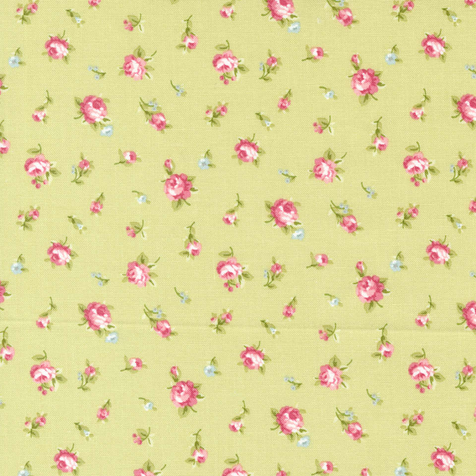 Moda - Ellie - 18761 14