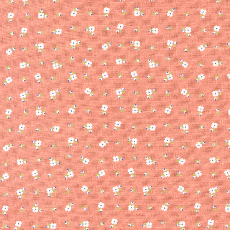 Moda - Peachy Keen - 29175 19