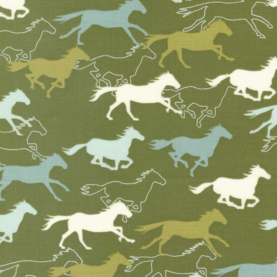 Moda - Ponderosa - 20862 14