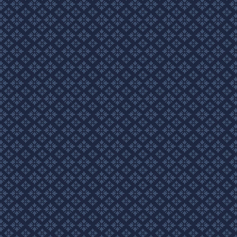 Riley Blake Designs - American Beauty - C14448-NAVY