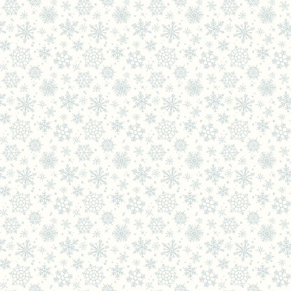 Riley Blake Designs - Magical Winterland - C14944-SNOW