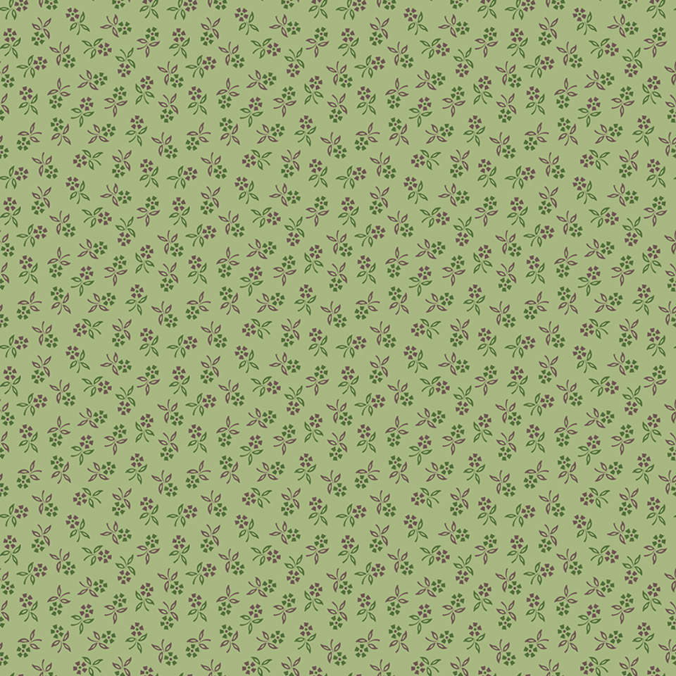 Riley Blake Designs - Autumn - C14664-LETTUCE