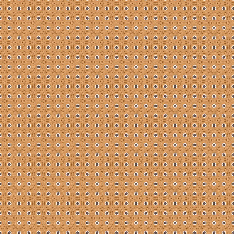 Riley Blake Designs - Autumn - C14666-CIDER