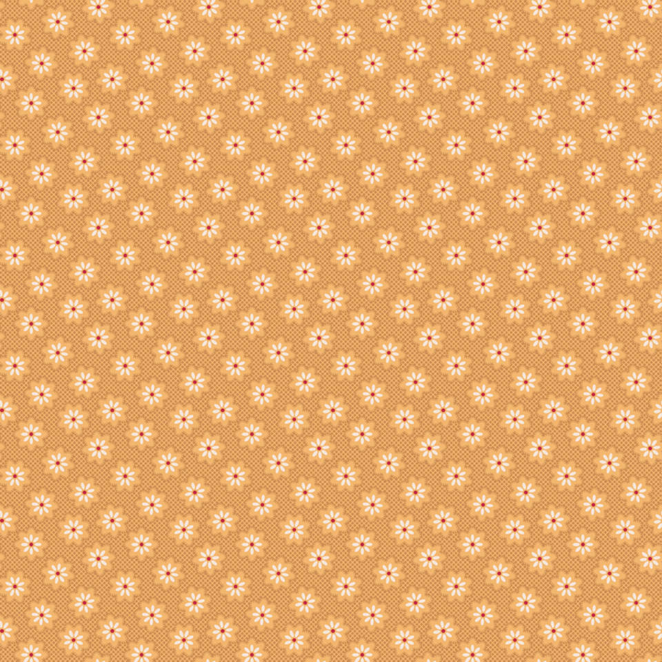 Riley Blake Designs - Home Town Holiday - C14915-CIDER