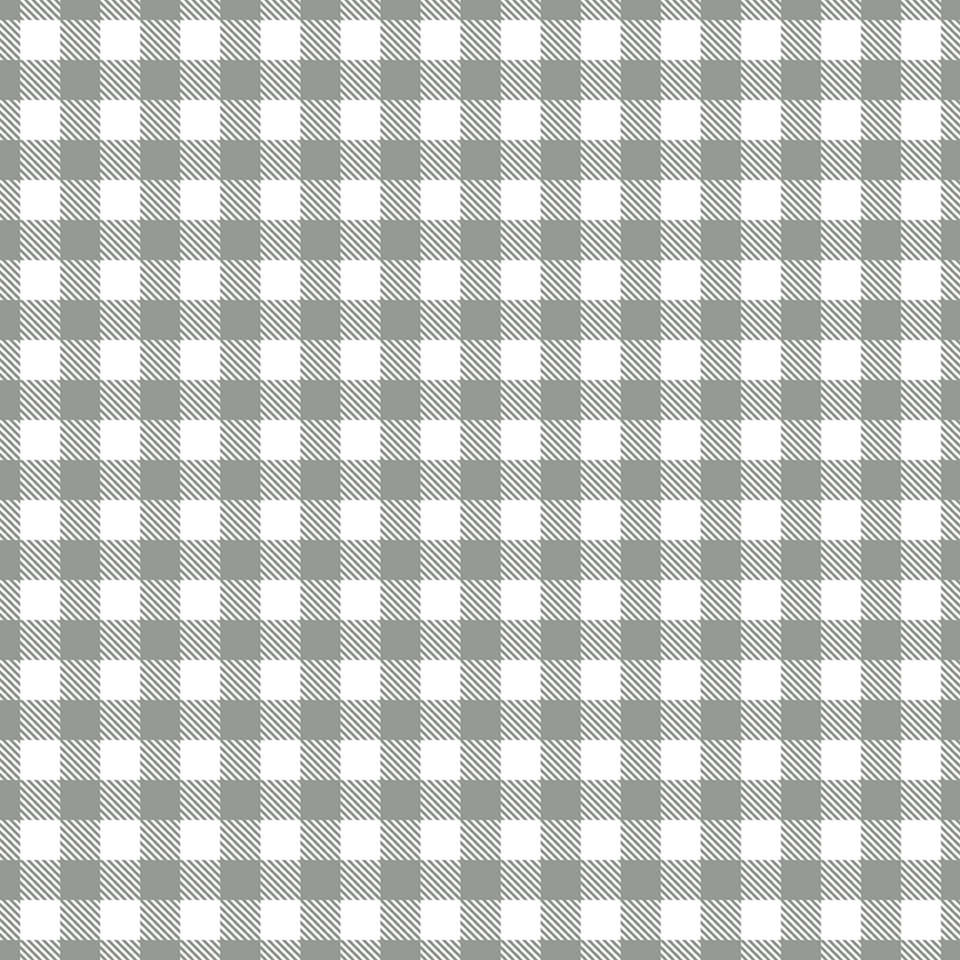 Riley Blake Designs - A Walk on the Prairie - C15238-SAGEGRAY