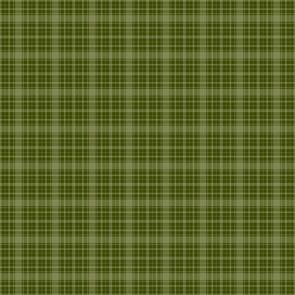 Riley Blake Designs - Christmas Is in Town - C14746-GREEN