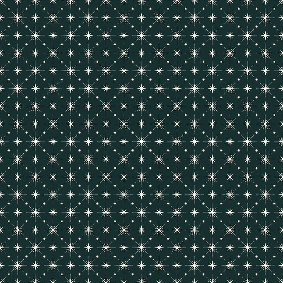 Riley Blake Designs - Christmas Is in Town - C14747-FOREST