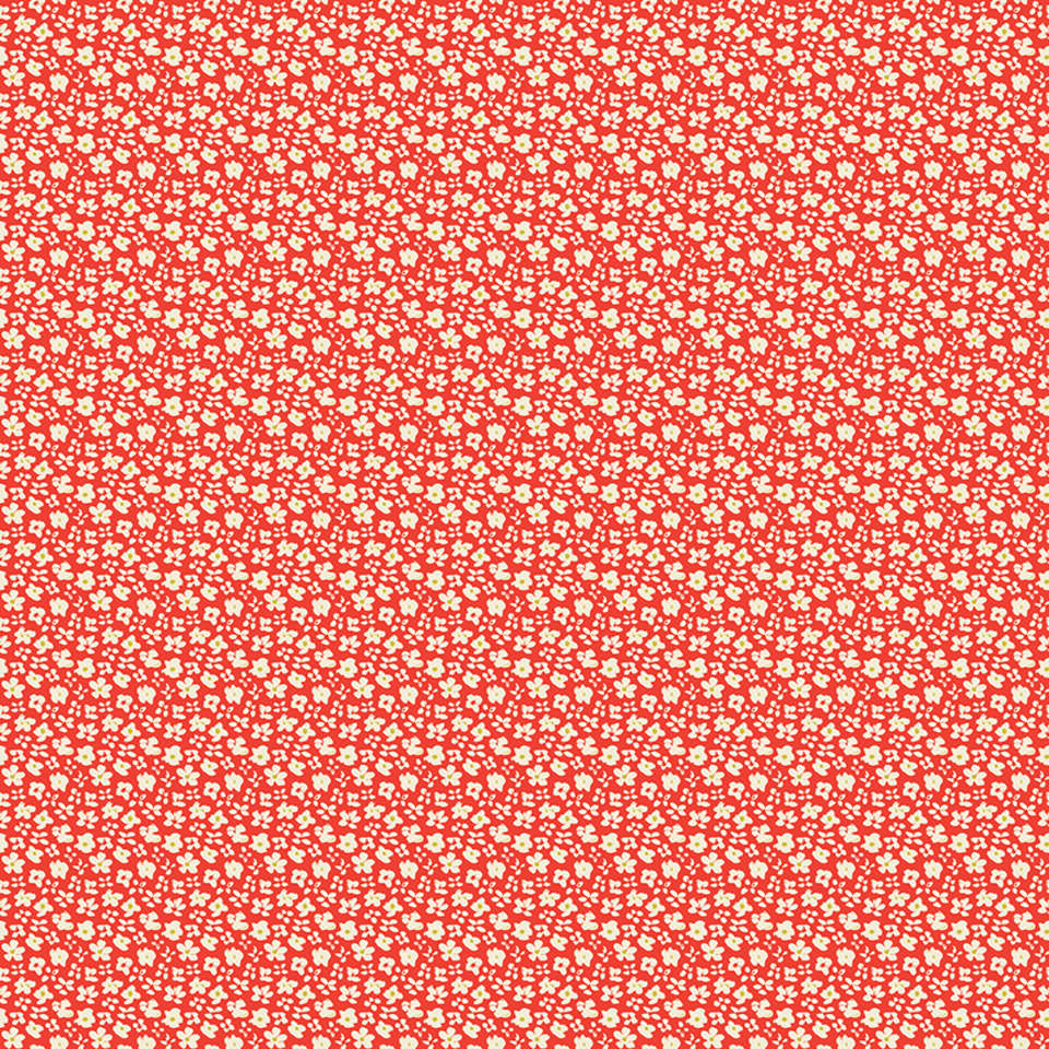 Riley Blake Designs - Feed My Soul - C14555-RED