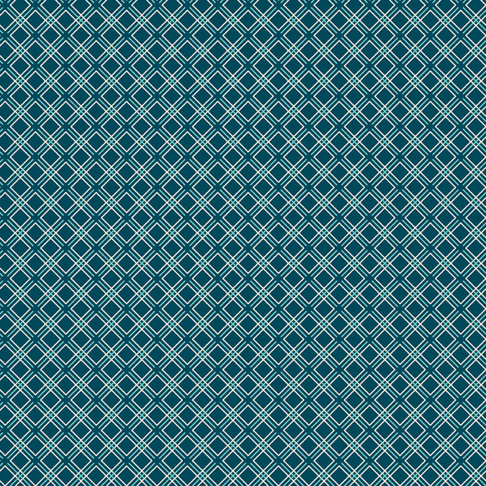 Riley Blake Designs - Feed My Soul - C14557-NAVY