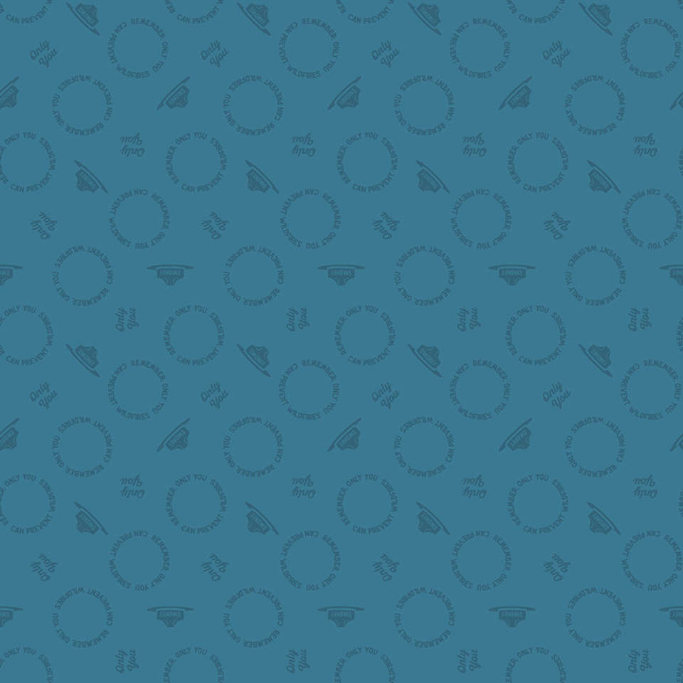 Riley Blake Designs - Only You - C14644-CADET