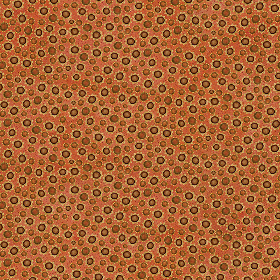 Riley Blake Designs - Bittersweet Farm - C14854-SQUASH