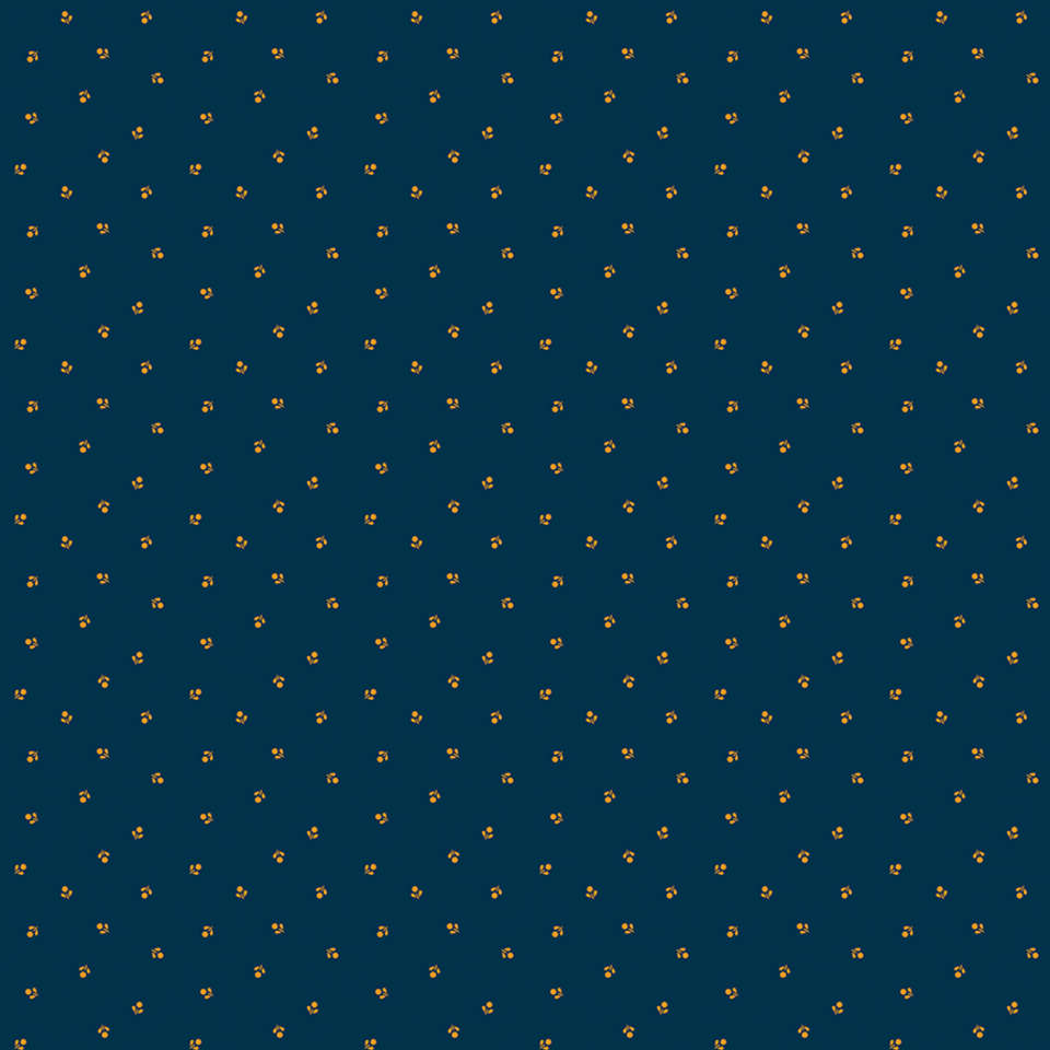 Riley Blake Designs - Cheddar at Twilight - C15165-NAVY
