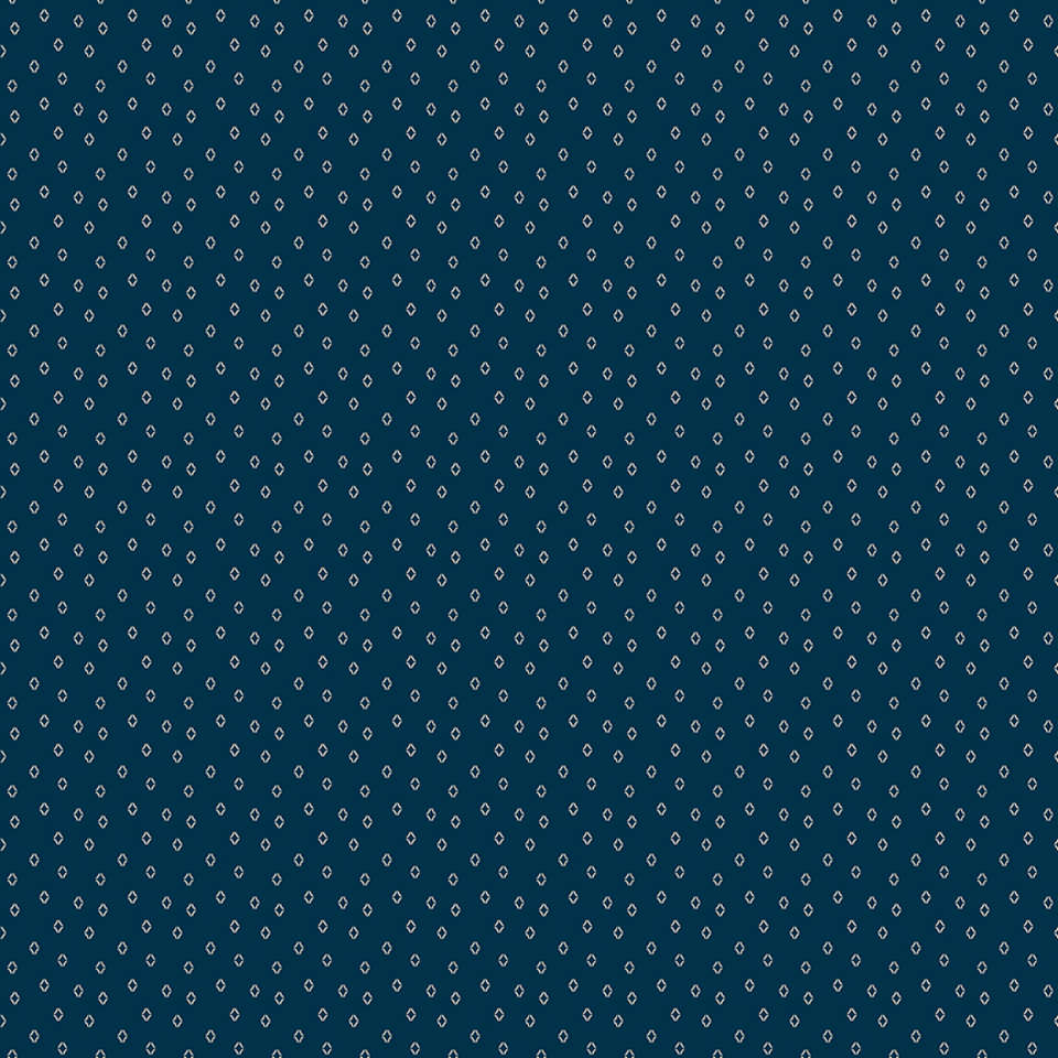 Riley Blake Designs - Cheddar at Twilight - C15166-NAVY