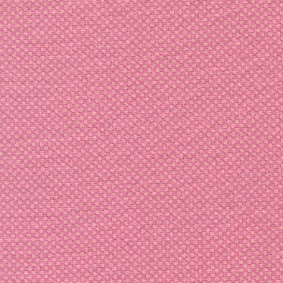 Moda - On the Bright Side - 22466 12