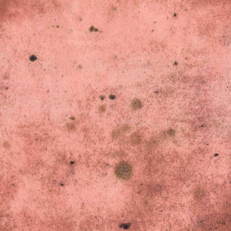 Free Spirit - Provisions - PWTH115.8ROSE