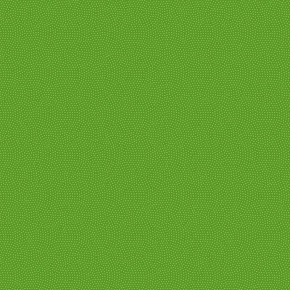 Timeless Treasures - Row by Row Sew a Season - SPIN-CD5300 PARAKEET