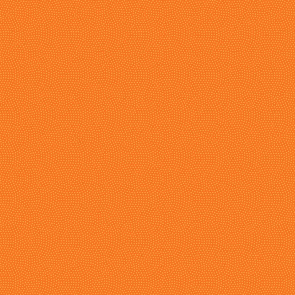 Timeless Treasures - Row by Row Sew a Season - SPIN-CD5300 CARROT