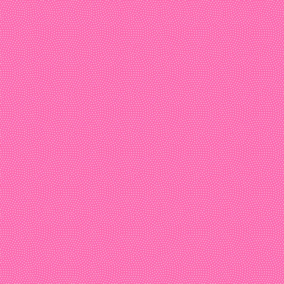 Timeless Treasures - Row by Row Sew a Season - SPIN-CD5300 RASPBERRY