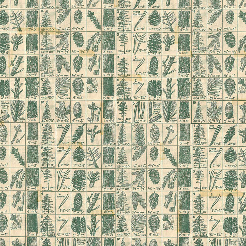 Free Spirit - Holidays Past - PWTH204.GREEN