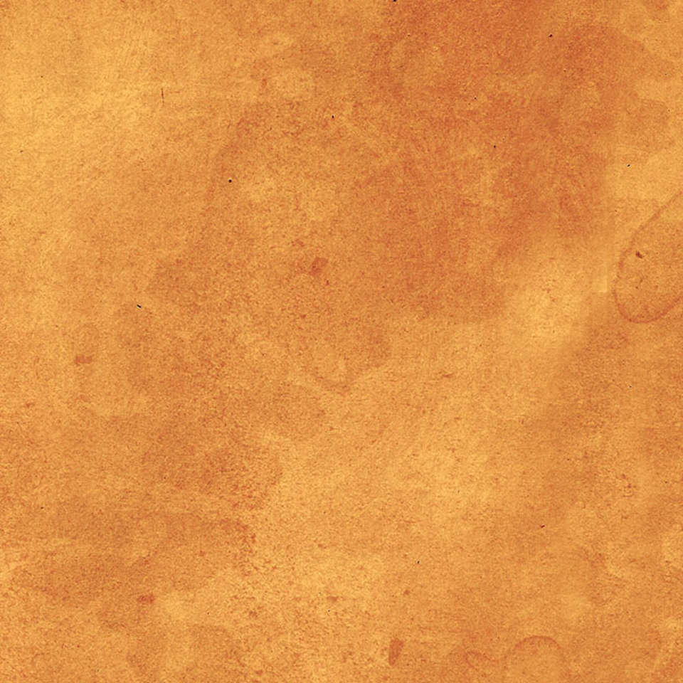 Free Spirit - Palette Orange - PWTH239.ORANGE