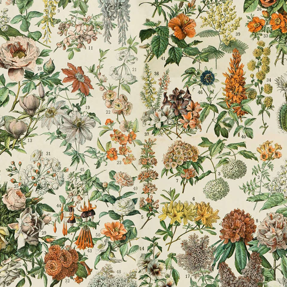 Free Spirit - Palette Orange - PWTH237.ORANGE