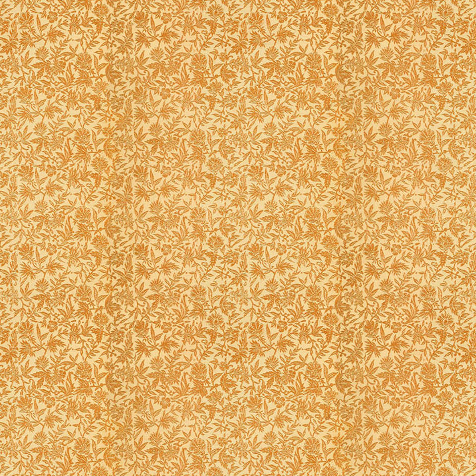 Free Spirit - Palette Orange - PWTH238.ORANGE