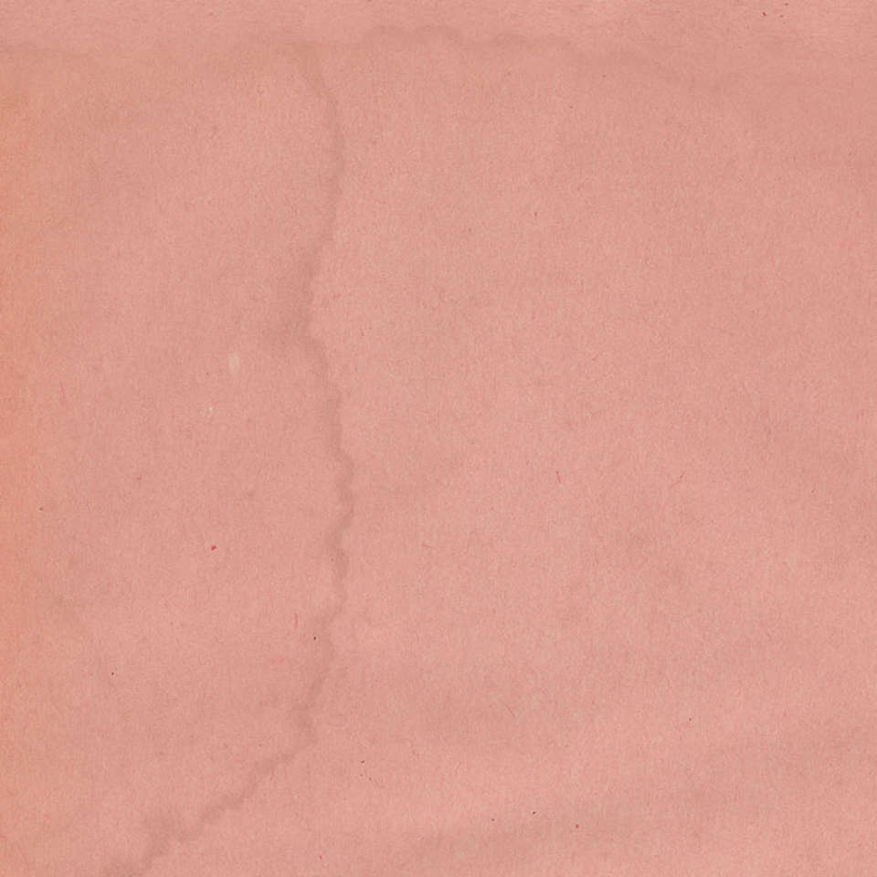 Free Spirit - Palette Pink - PWTH219.PINK