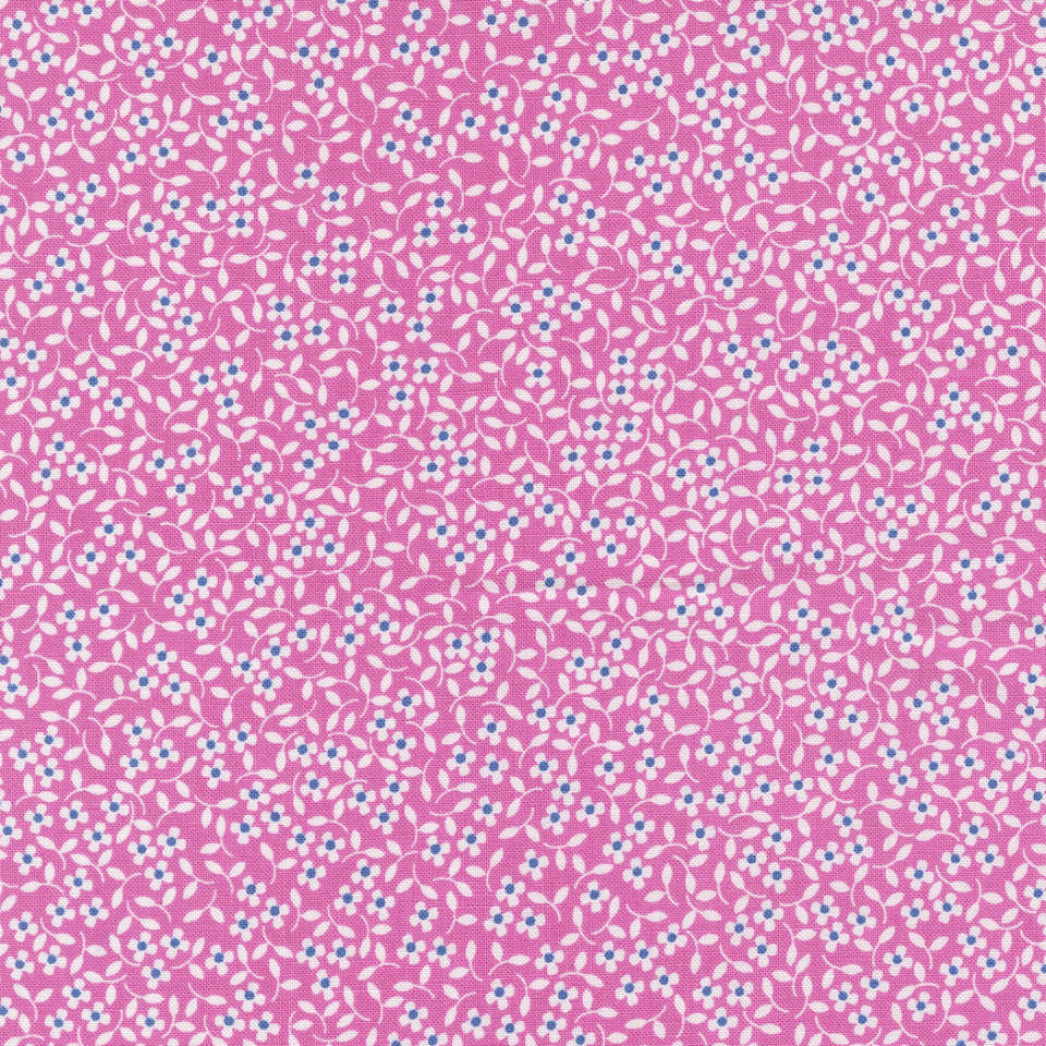 Moda - Cali Co. - 29193 43