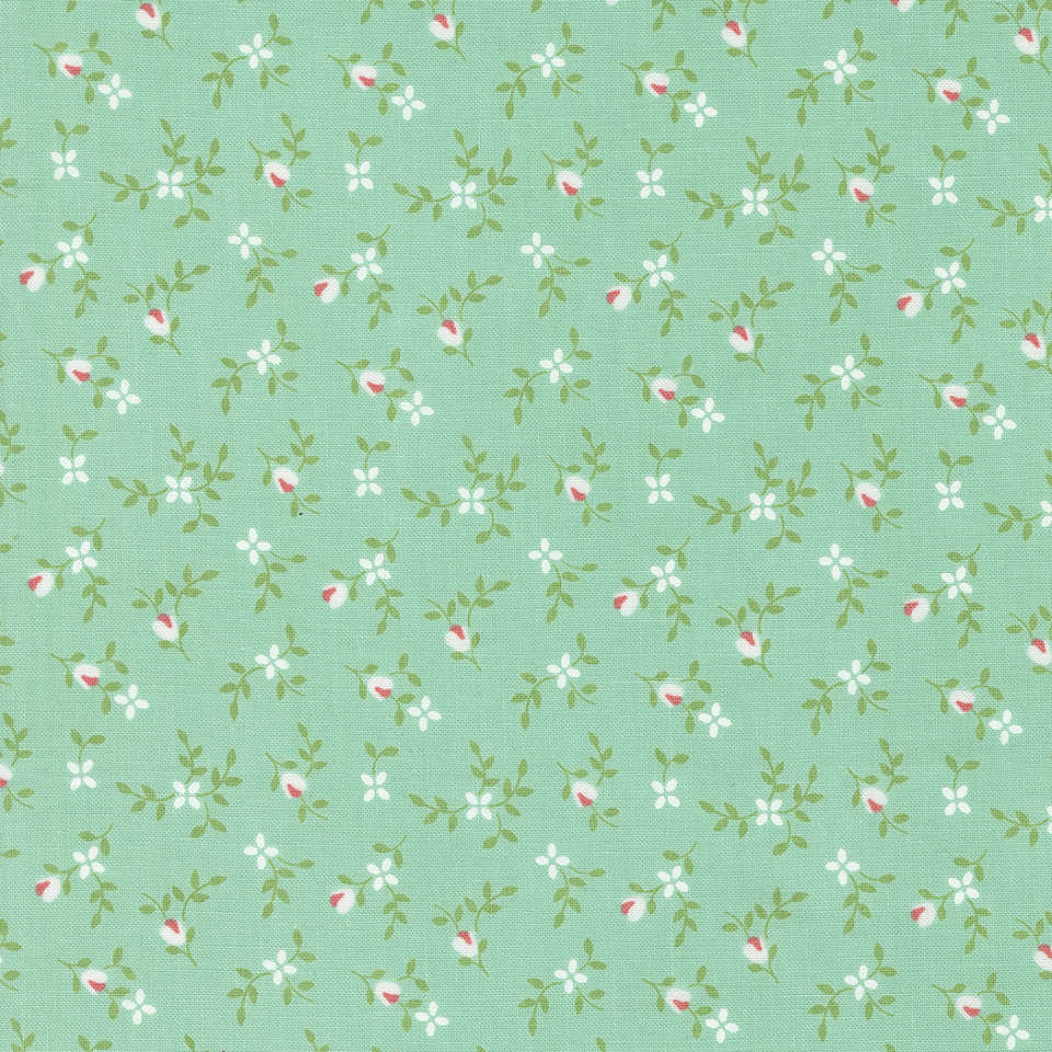 Moda - Cali Co. - 29192 39