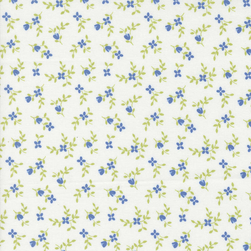 Moda - Cali Co. - 29192 21